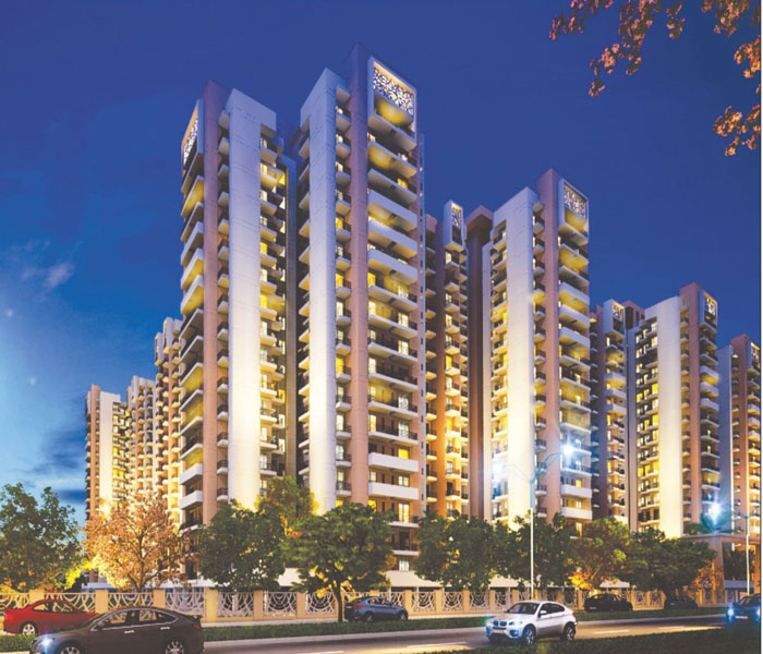 apex aura front view